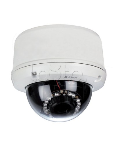 IP-камера видеонаблюдения уличная купольная D-Link DCS-6510/EP в Кызыле IP-камеры Pintop.ru