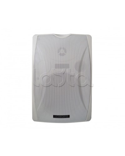 IP-громкоговоритель DSPPA POE-6463W в Братске Система оповещения и трансляции Dsppa Pintop.ru